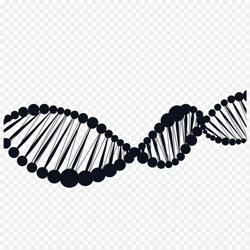 ����ʸ����ɫ������DNA���ݳ�-������