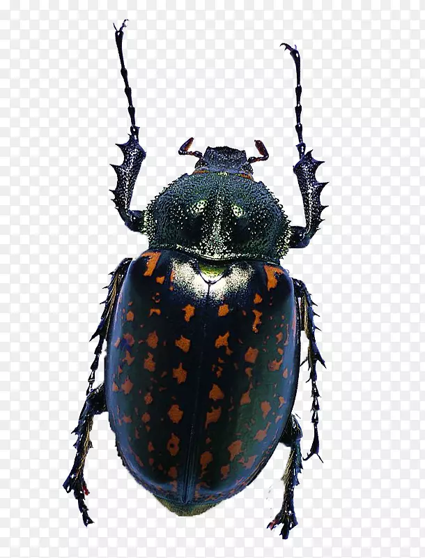 �����ز�-������