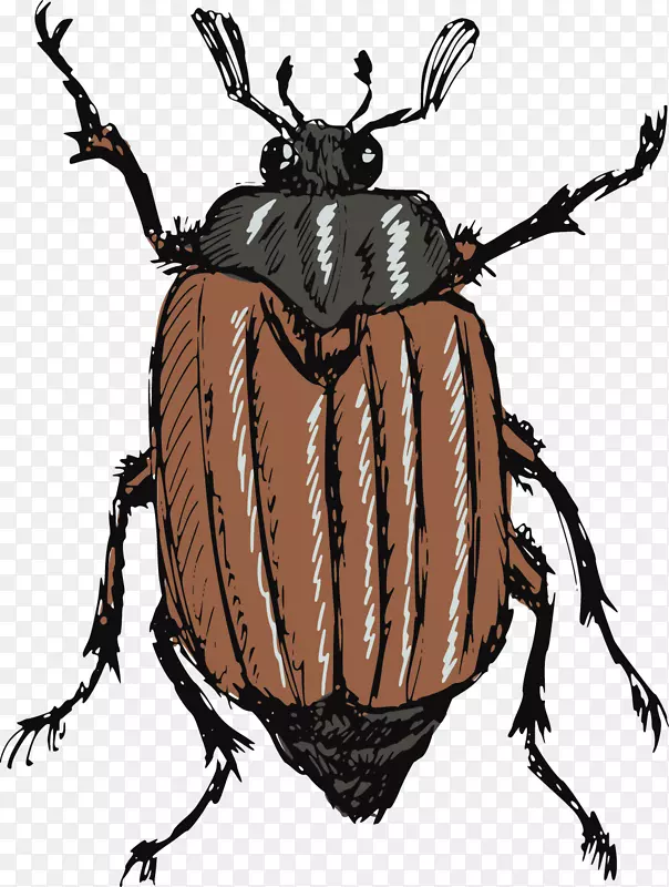 ֪��ʸ��-������