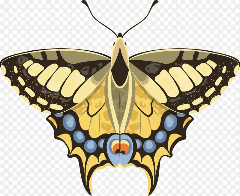 ��ɫ�ķɶ�ʸ��-������