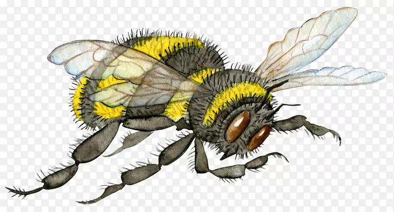 �ֻ���۷�-������