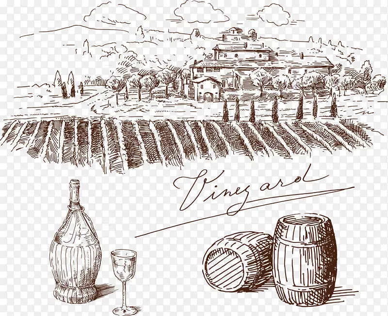 2017��������ʸ���ز�-������