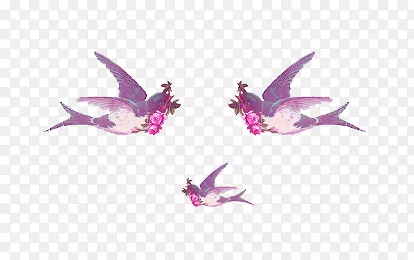 ���Ӷ����ز�-������