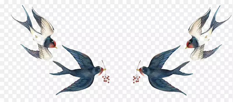 ��ɫ��ͨ�ֻ�С������-������