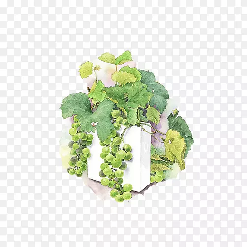 ����֦ˮ�ʻ��ز�ͼƬ-������