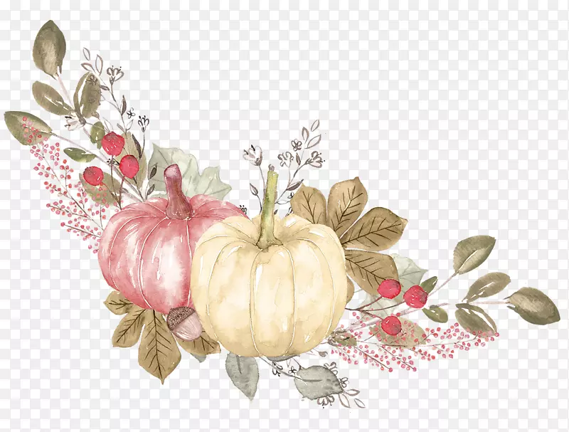 �ֻ�ˮ���Ϲ�ʳ��-������