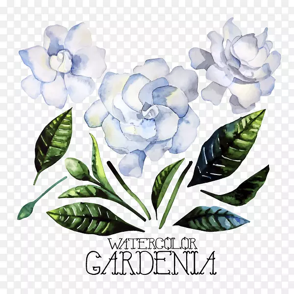 ˮ������ʸ��-������