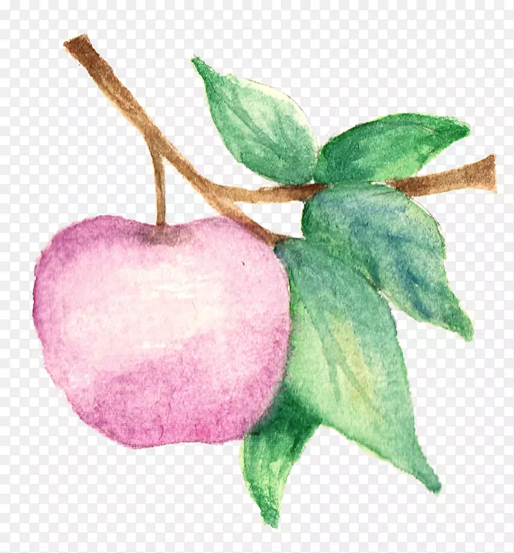 ˮ�� PNG-������