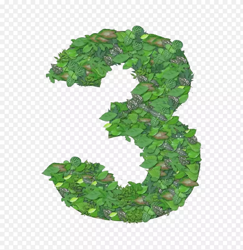 ��ɫ����������-������