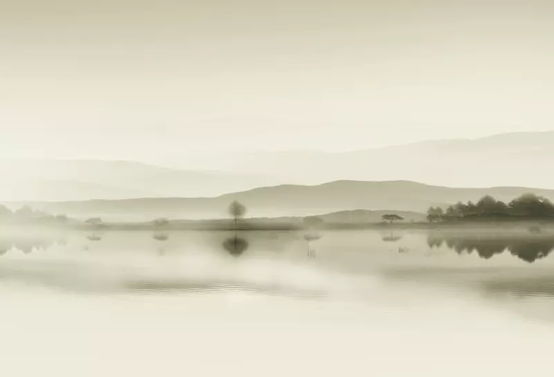 ˮī������-������