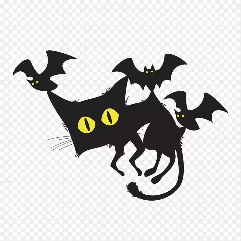 ��ʥ�ڿ�ͨ�ɰ�è��-������