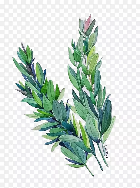 ˮ��Ҷ��-������