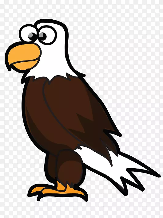 �ֻ濨ͨ��ӥ��ӥ���ݸ��������-������