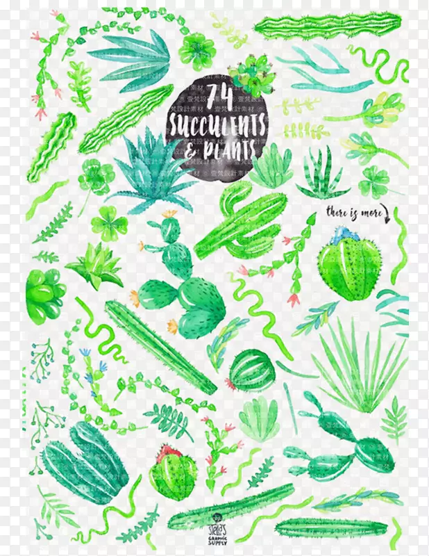 ��ɫֲ�ﱳ��-������