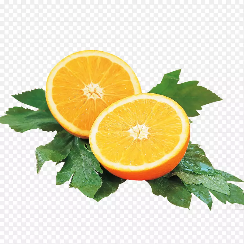 �óԵ�ˮ��-������