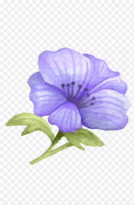 ˮ��ֲ��-������