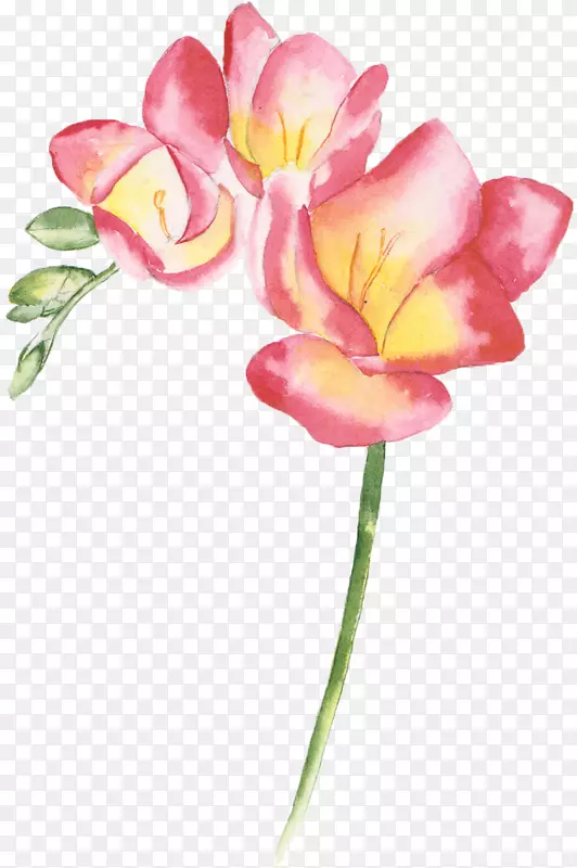 ˮ�ʻ���-������