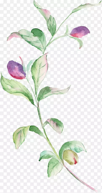 ˮ�ʻ�ͼ-������