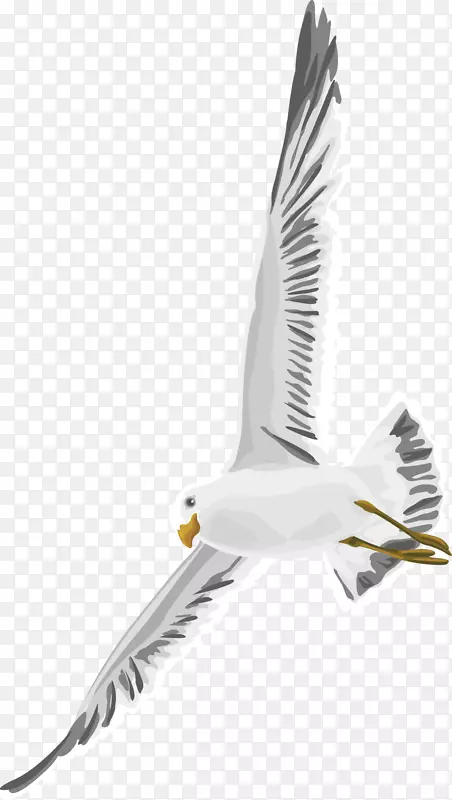 �ֻ溣Ÿװ�����ʸ��-������