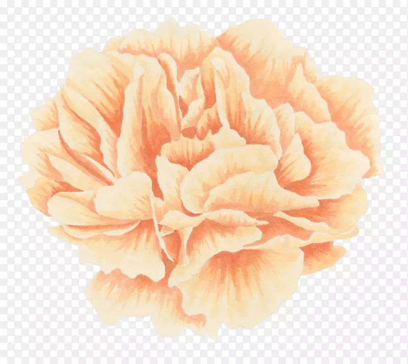 ˮ���ֻ�ֲ�ﻨ��-������