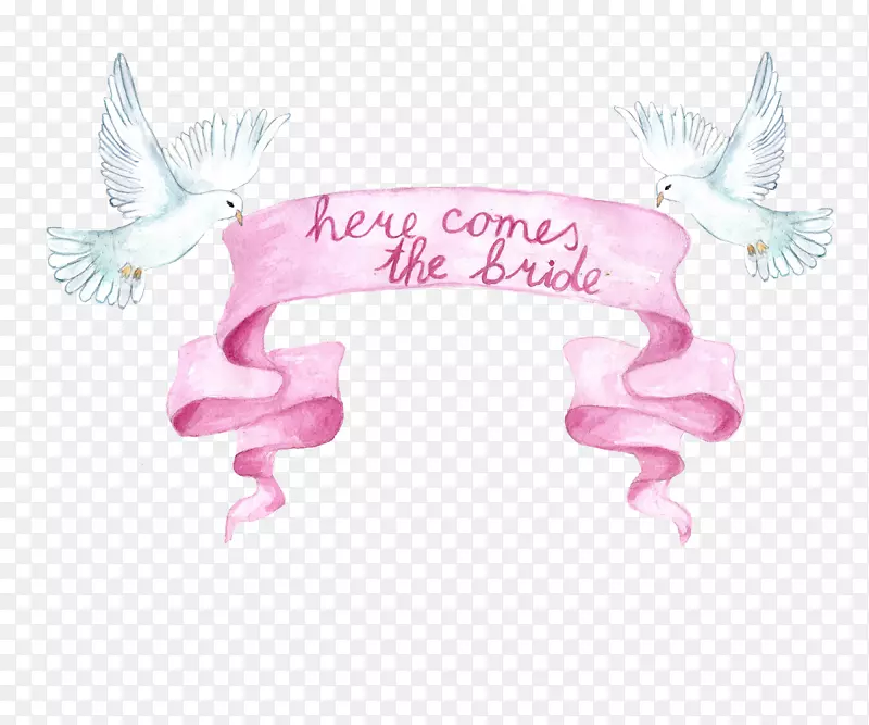 ��ǩ�߿�-������