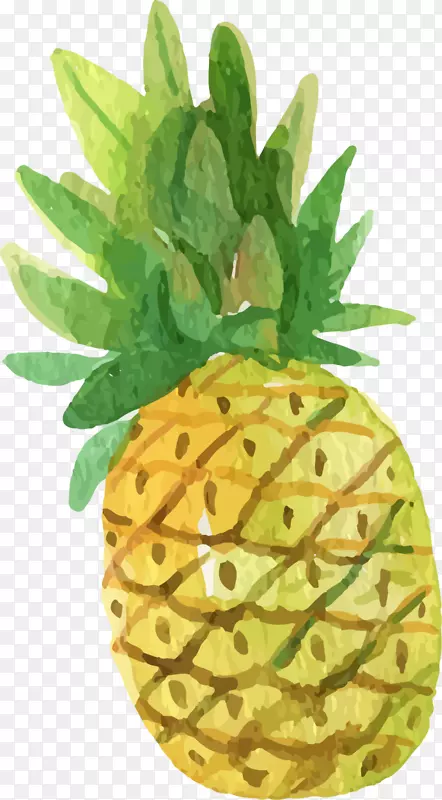 �ļ�ˮ���ֻ沤��-������