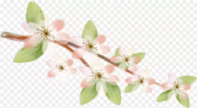 ��֦�ϵĻ���-������