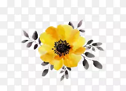 ��ͨ�ֻ��ɫ��ɣ��-������