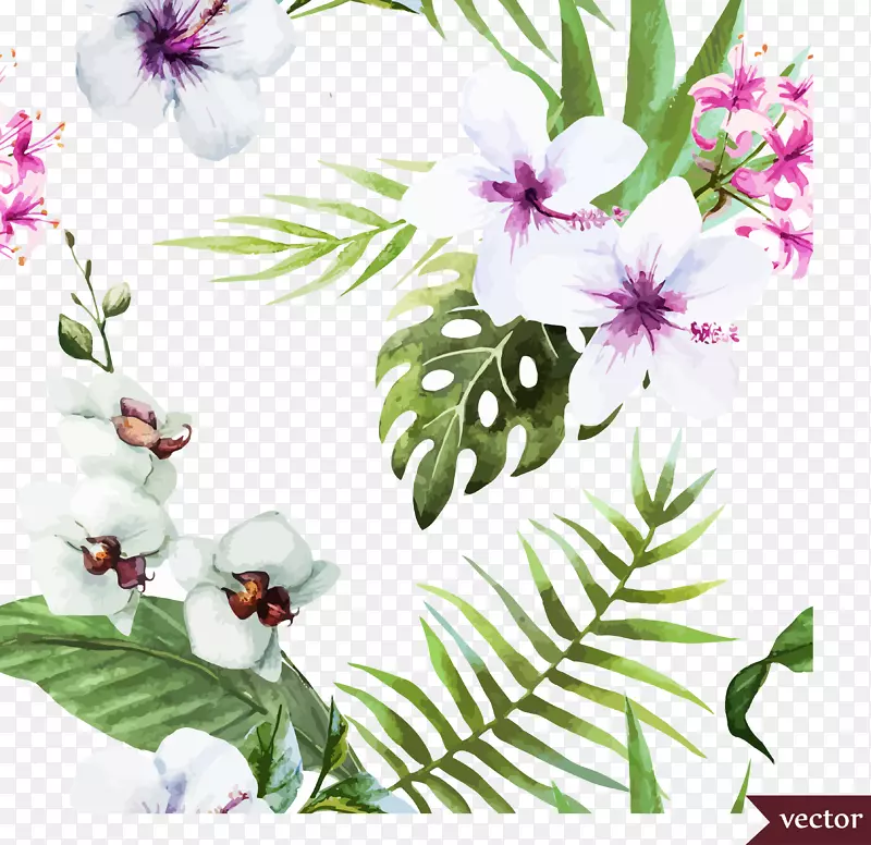 ��ɫ��ɣ��-������