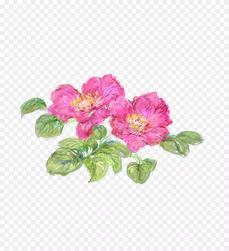 ˮ��ĵ��-������