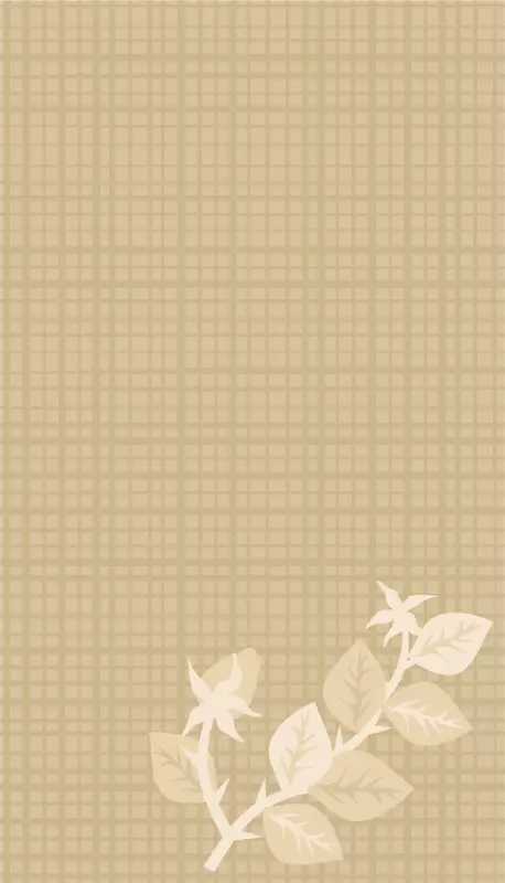 ��ͨ�߿�-������