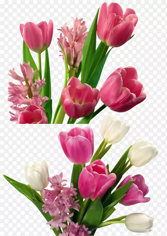 ��ɫ������-������