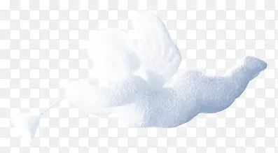 ��ɫ�����ʥ����ͼƬ-������