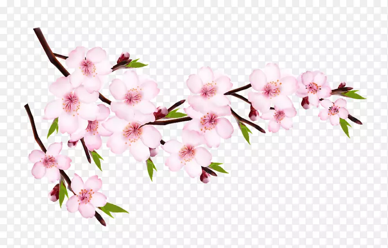 ��֦-������