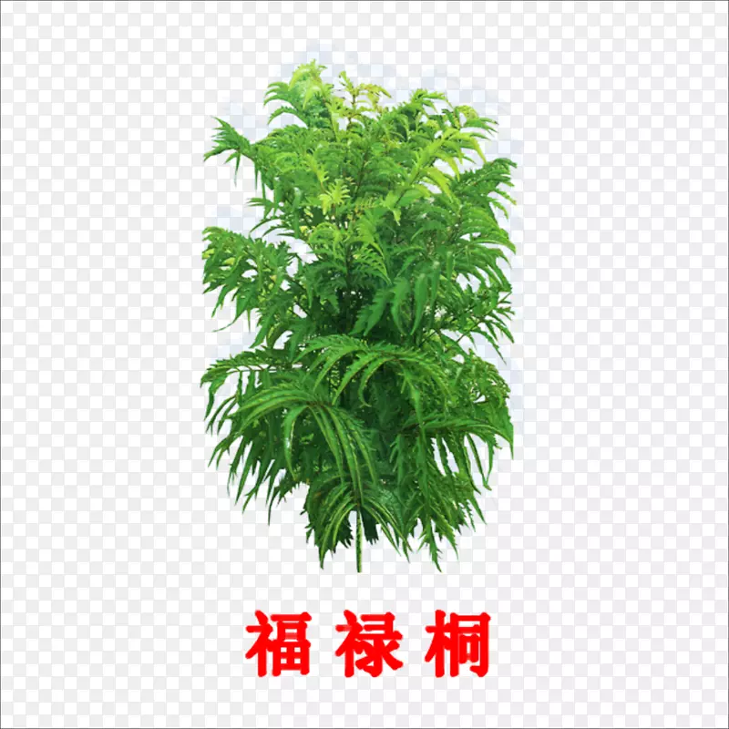 ��»ͩ-������