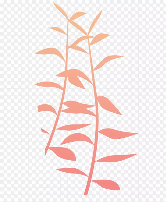 ��ͨ��ɫ������֦����-������