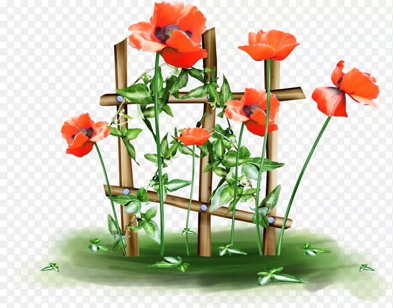 ��������԰-������