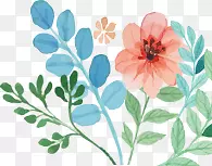 ˮ�ʻ�����-������