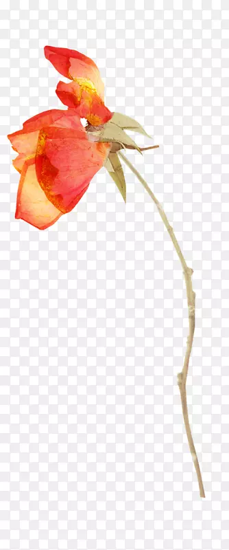 ��ɫ��ˮ�ʻ��ز�-������