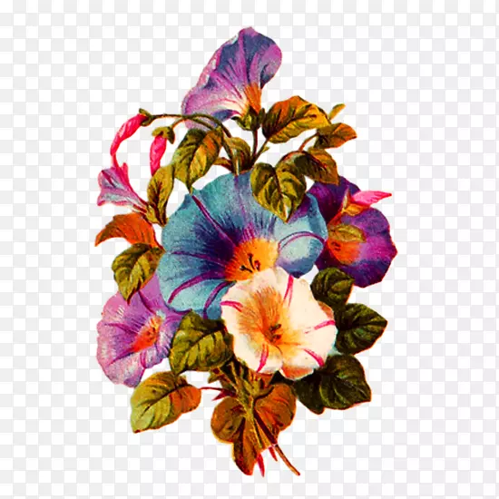 ˮ�ʻ���-������