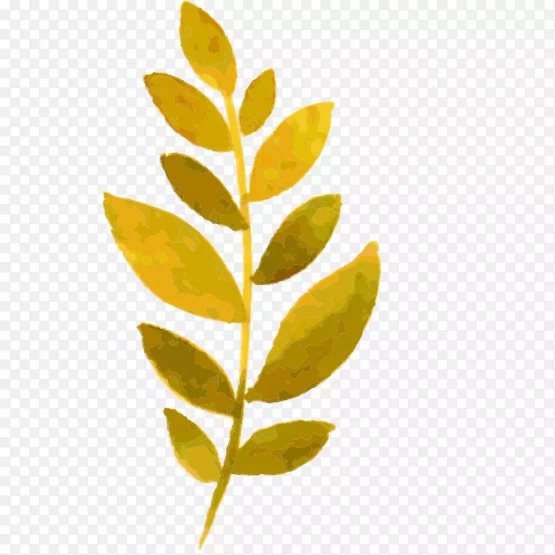 ˮ�ʻ� ֲ��  ���� �ֻ� ��Ҷ-������