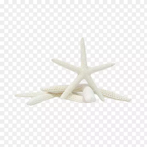 ��ɫ����-������