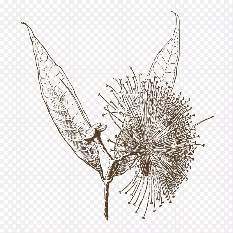 �ֻ�ֲ�ﻨ����֦��ʵ-������