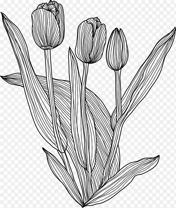 ���軨��-������