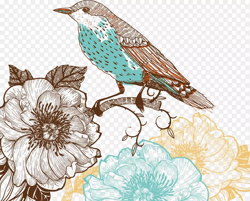 �й������ɫ-������