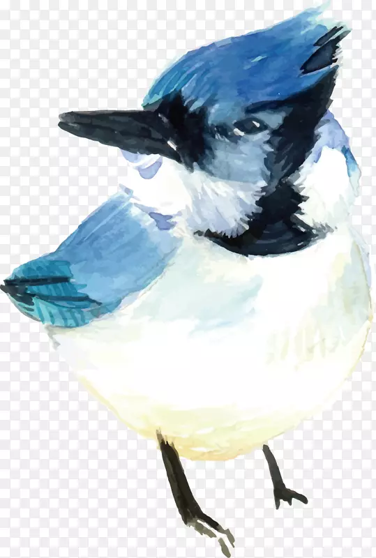 �ֻ���ʸ����ɫ-������