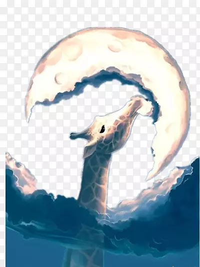 �廭-������