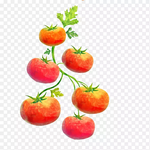 �ֻ�������-������