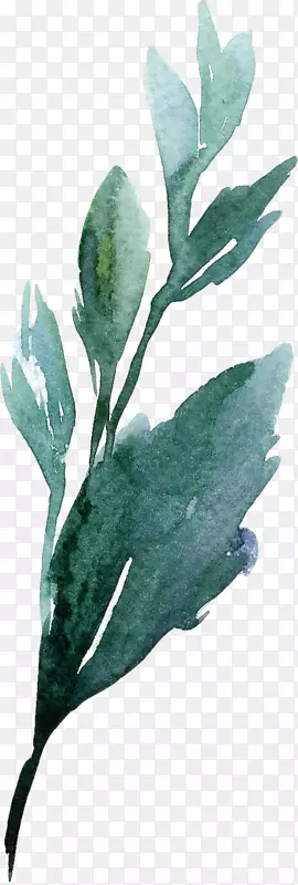 ˮ����ɫ��Ҷ-������