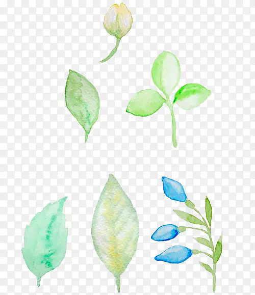 ˮ��Ҷ��-������